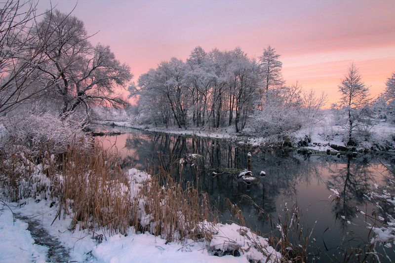 ******** фото превью