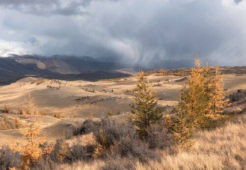 Алтайская осень
