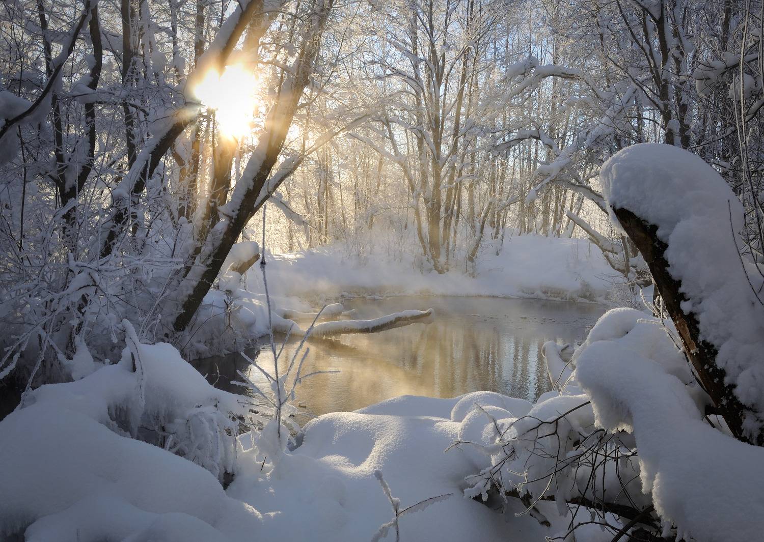 , Куликов Андрей