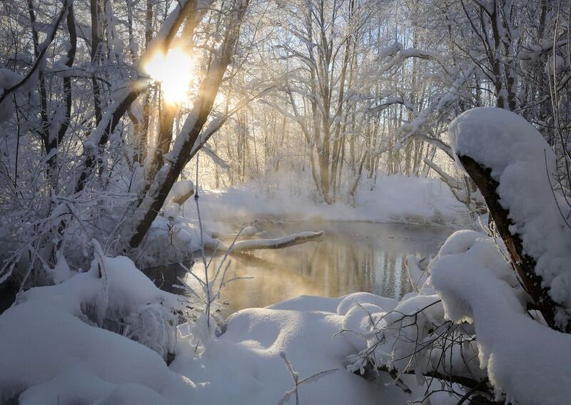 Зимний денёк. фото превью