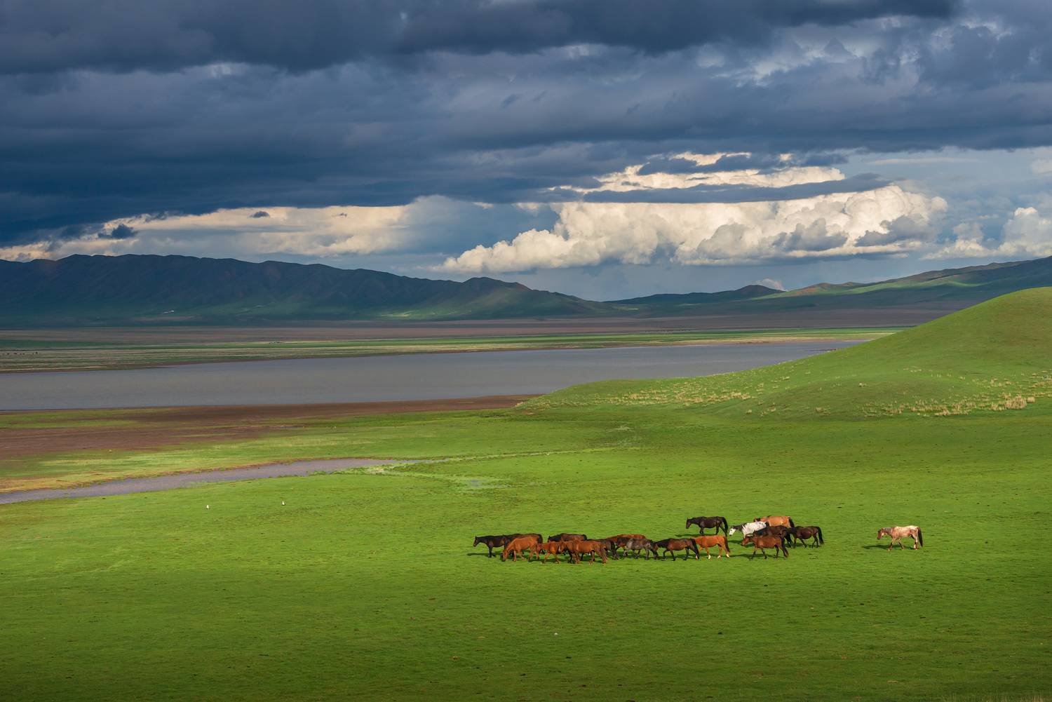 маки казахстан семиречье тянь-шань тяньшань тузколь каинды кольсай хантенгри, Эдуард Кутыгин