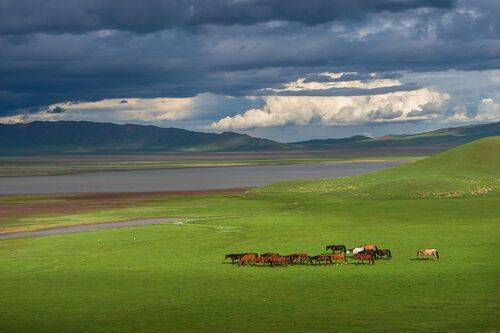 Тузколь. Фототур в Семиречье, Казахстан