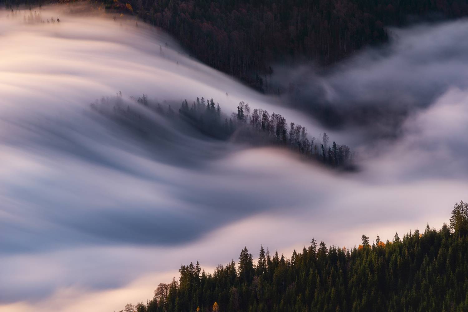 , Szabo Zsolt Andras