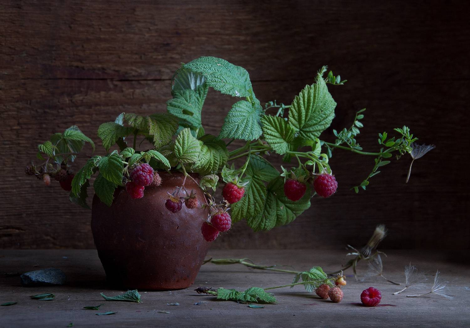 лето, малина, Елена Колеснева