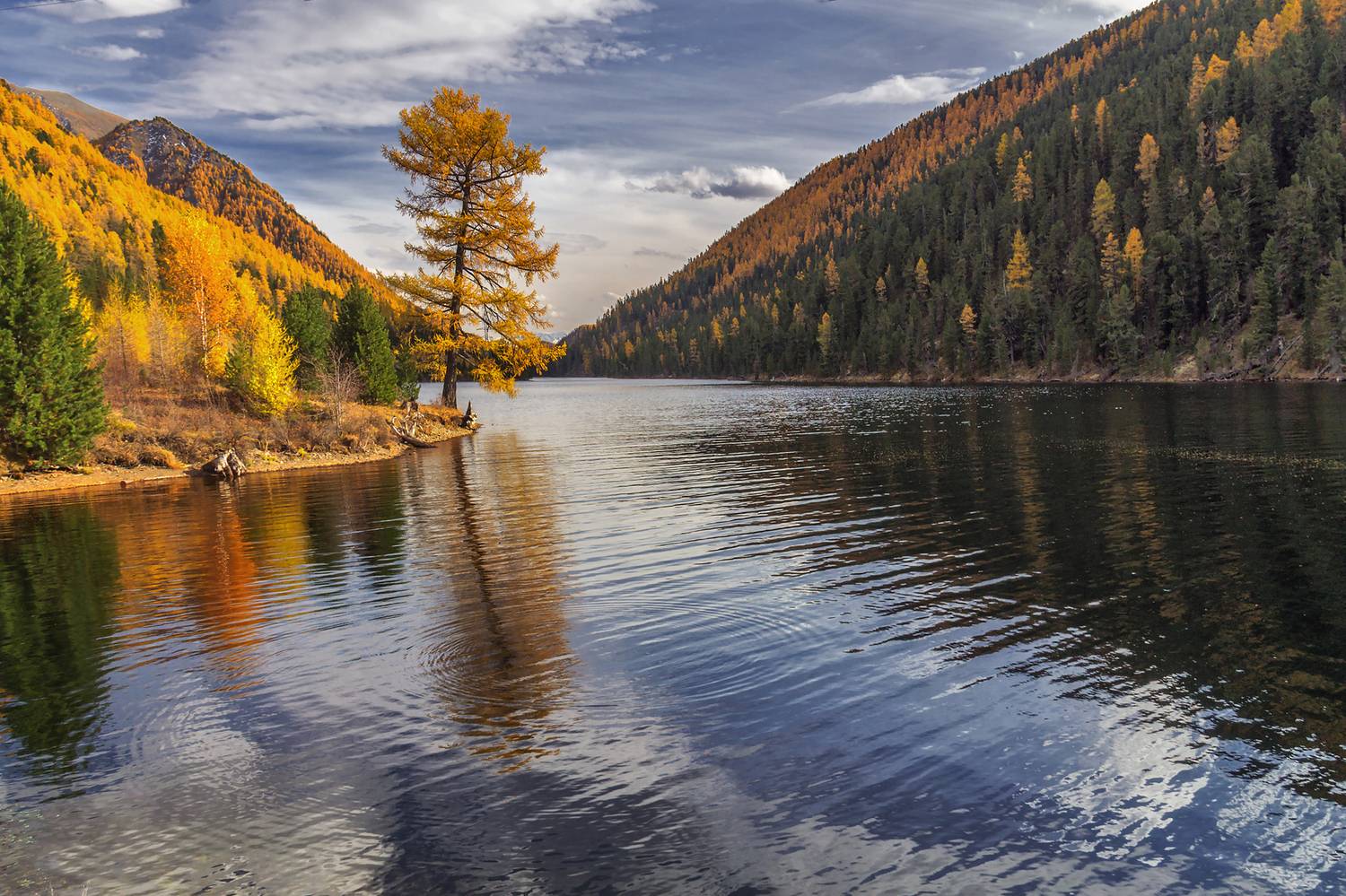 , Юдинских Марина