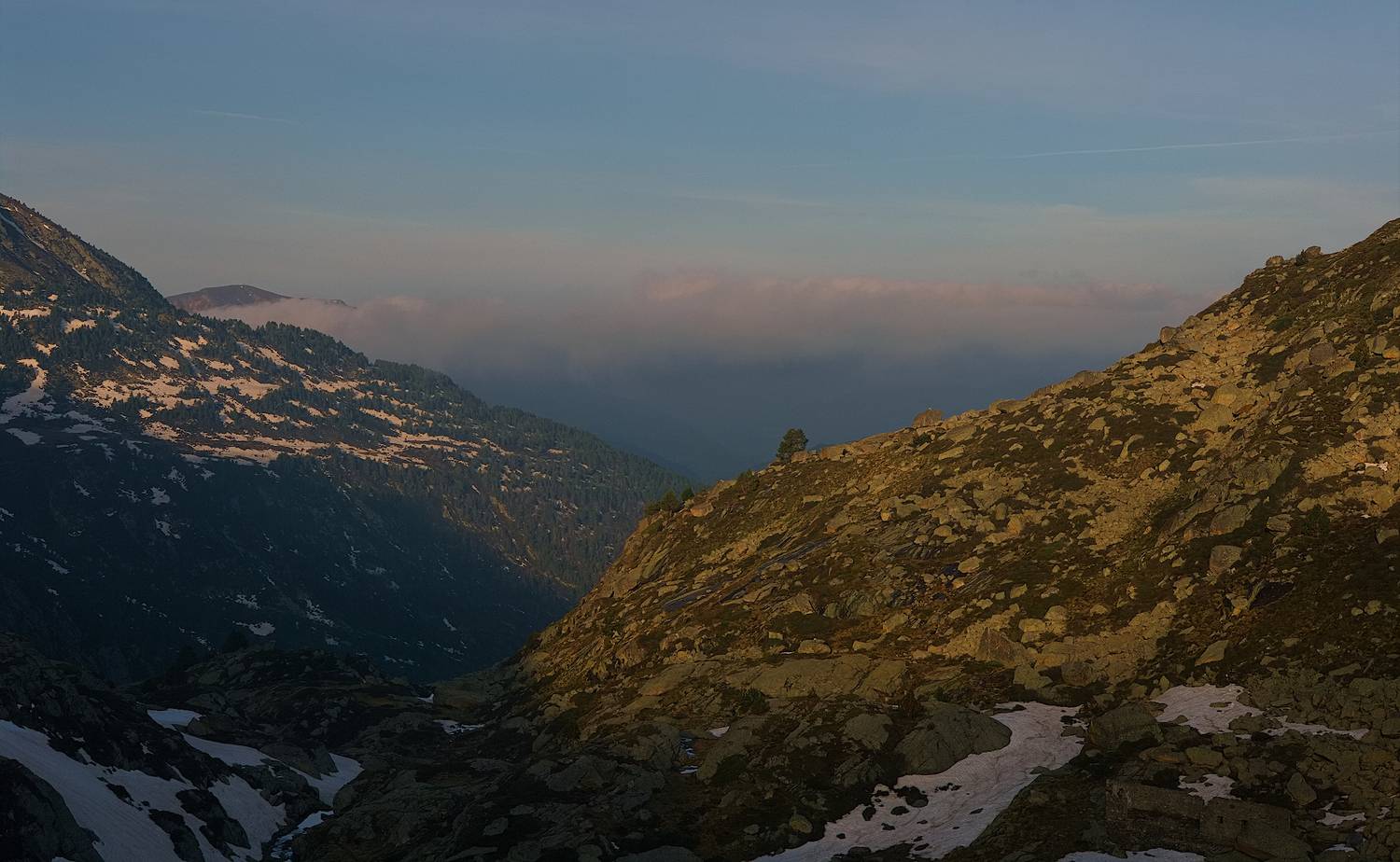 , Wojciech Tarnowski