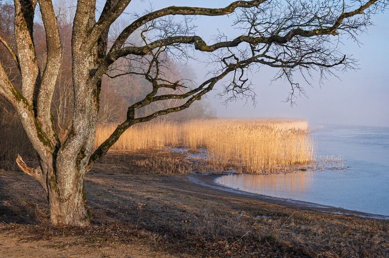 Яркое весенние утро фото превью