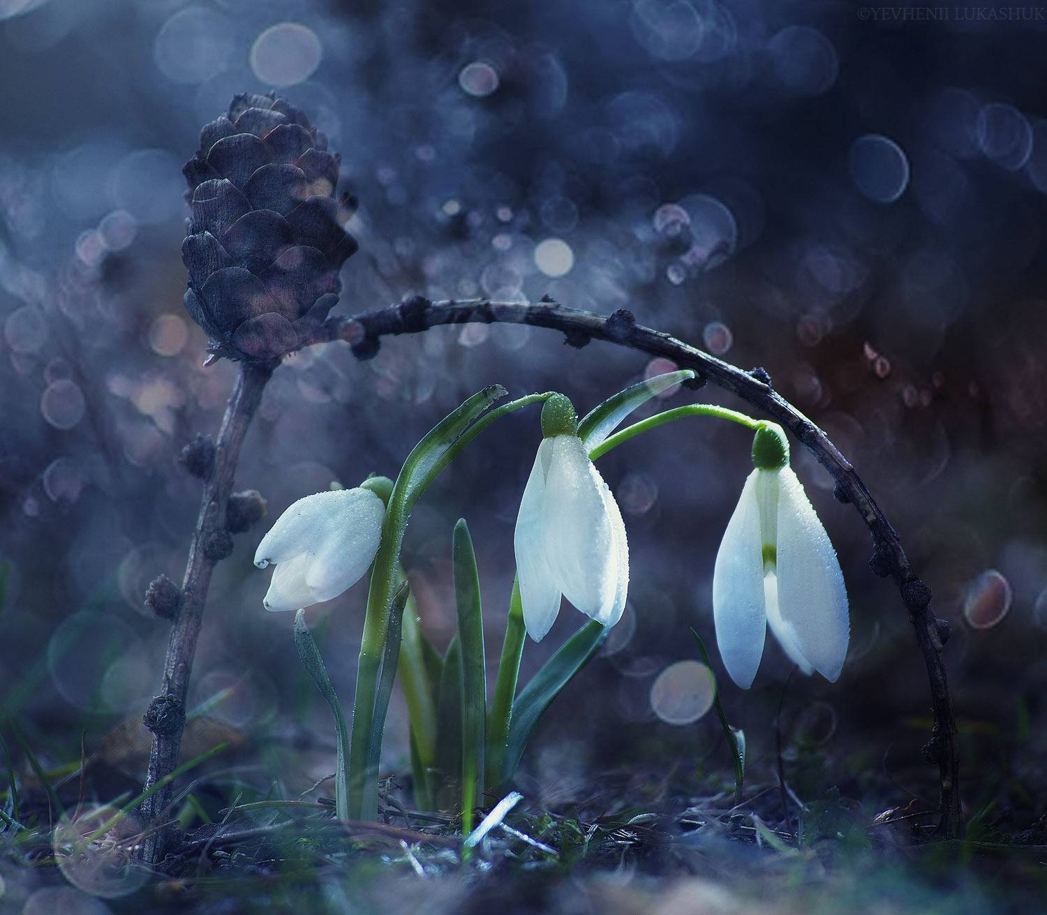 , Лукашук Евгений