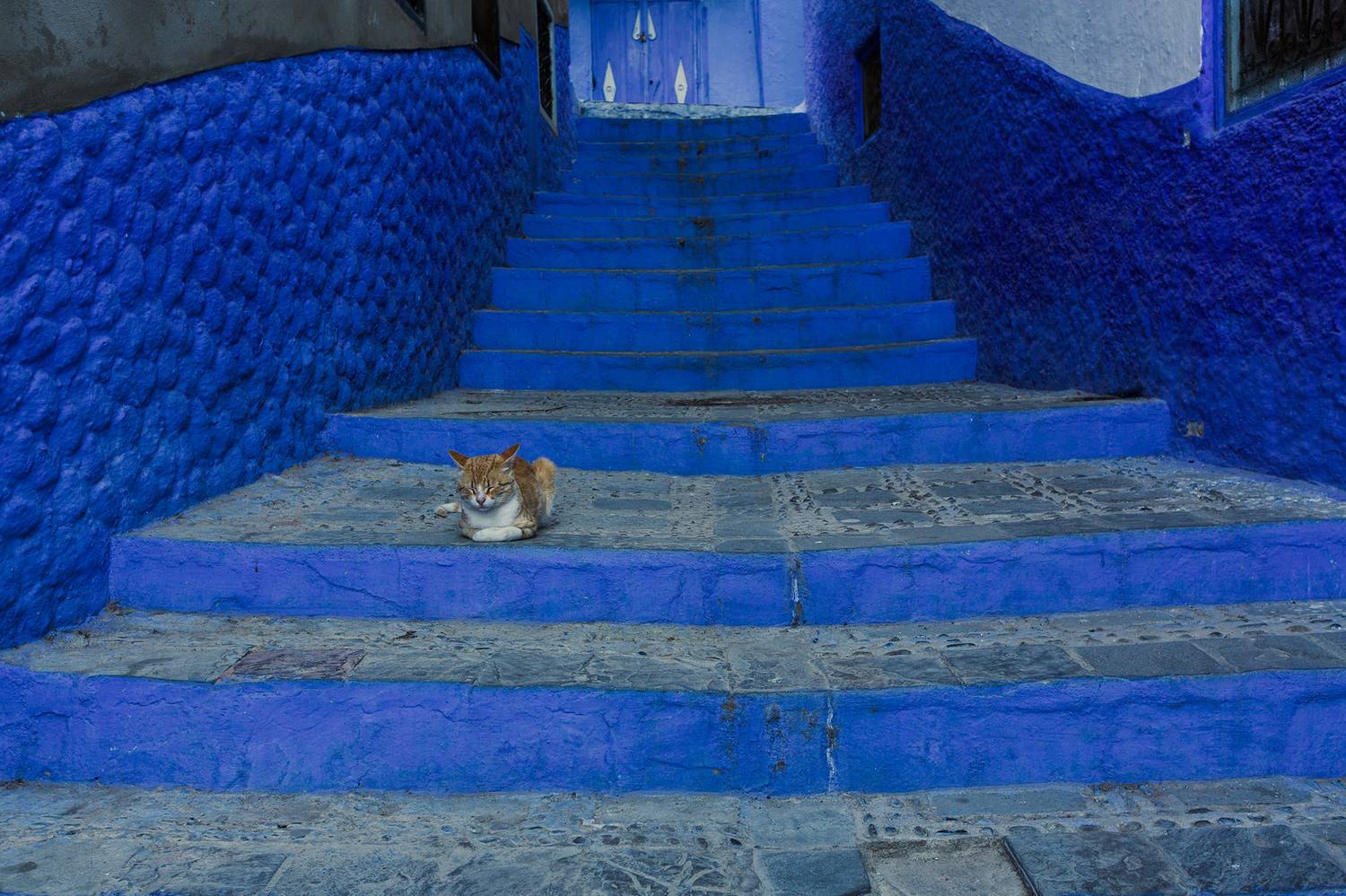 , Vladimir Vorobeychik