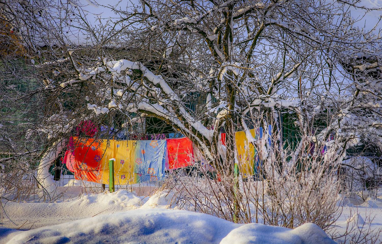 ,  александр михайлов