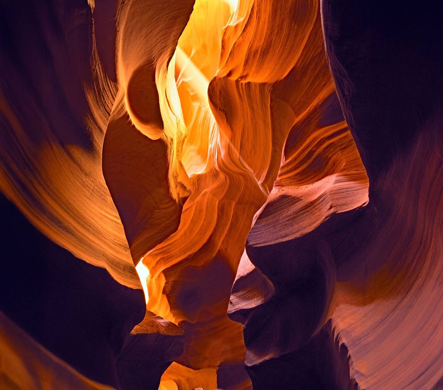 , Сулоев Алексей