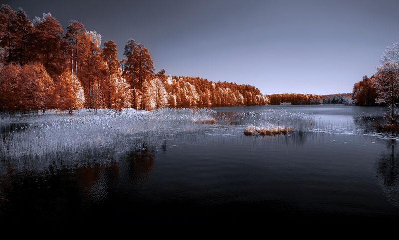 infrared, ик-фото, инфракрасное фото, инфракрасная фотография, пейзаж, весна Весенний штиль фото превью