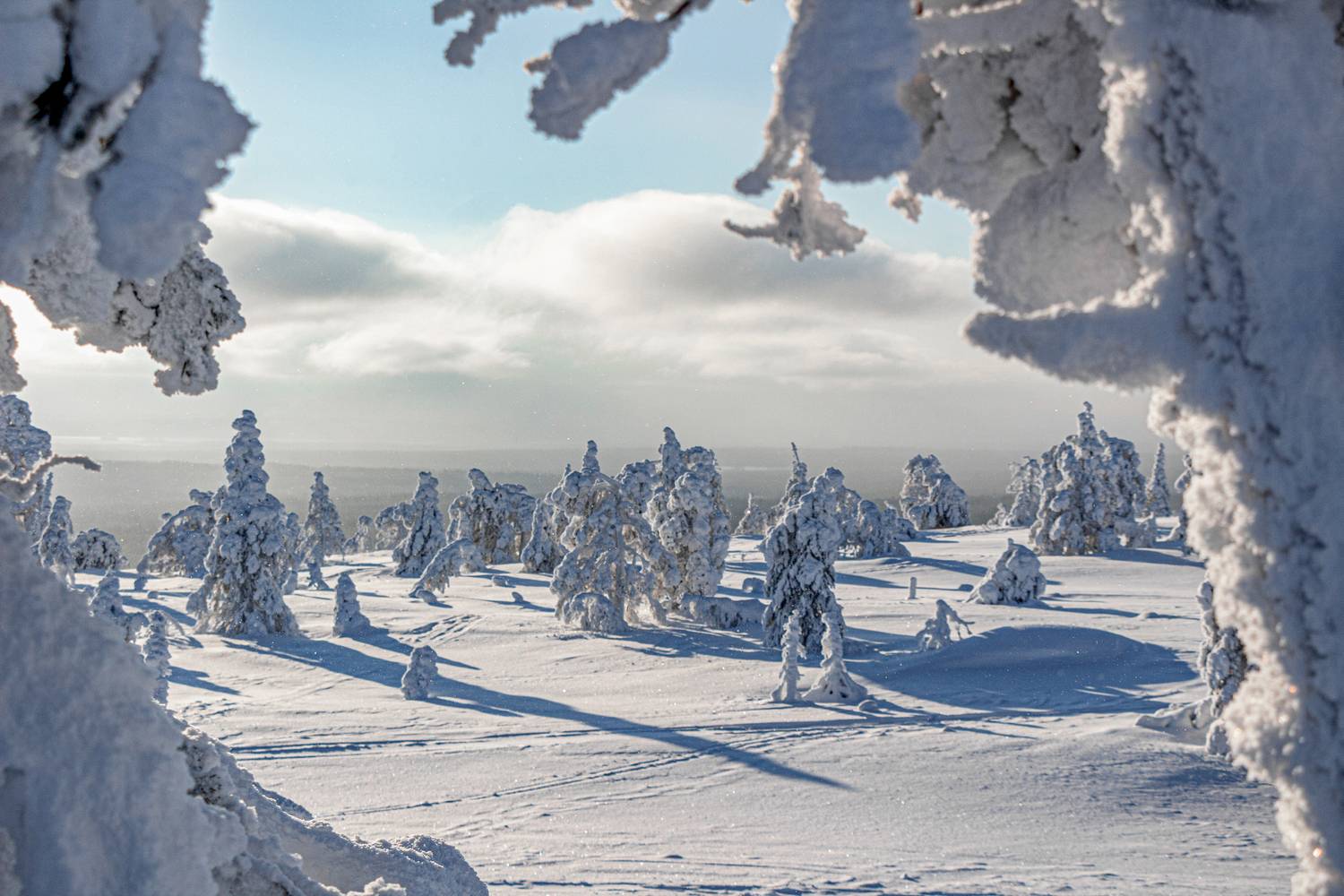 , Вадим Городницкий