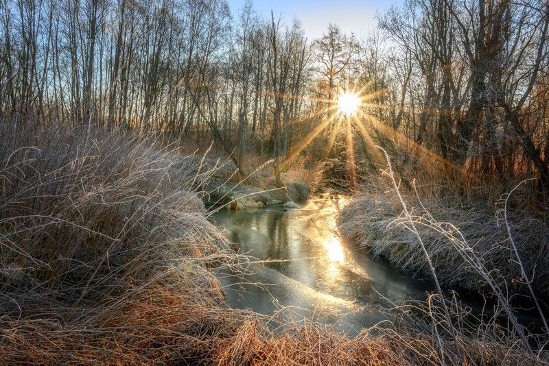 Весна идёт.... фото превью