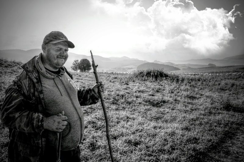 On the way to the pasture фото превью