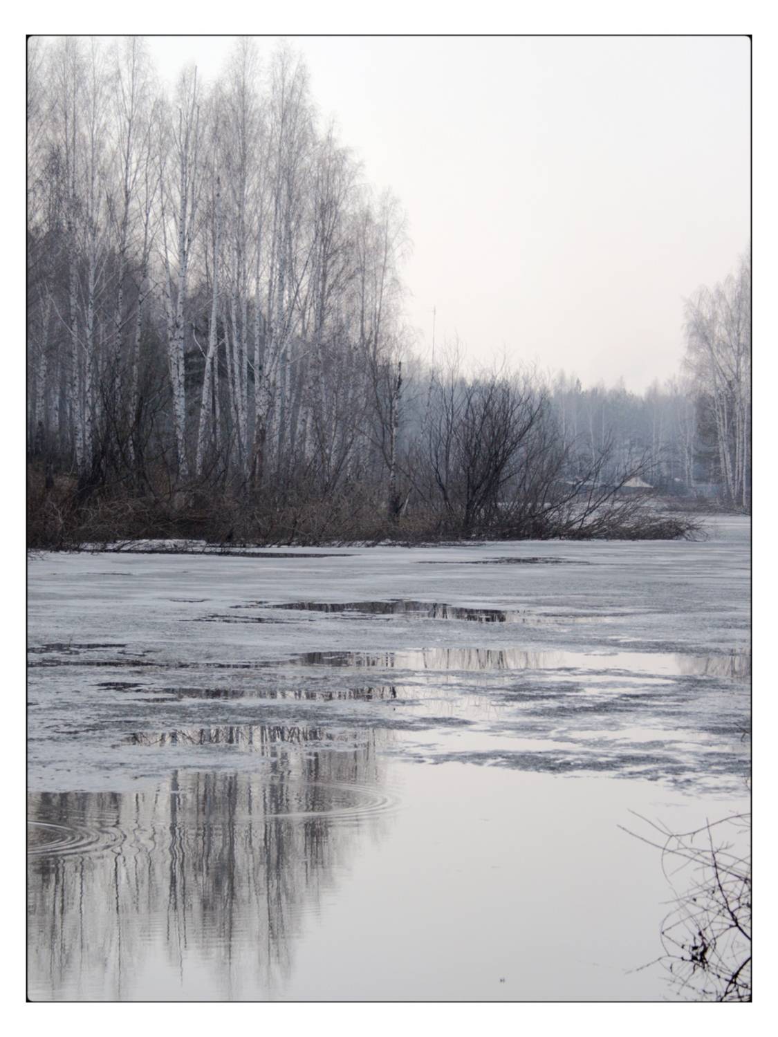 , Герасимова Алёна