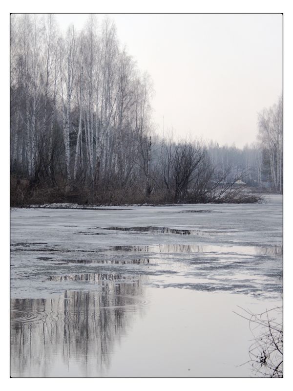 Март на лесном озере фото превью