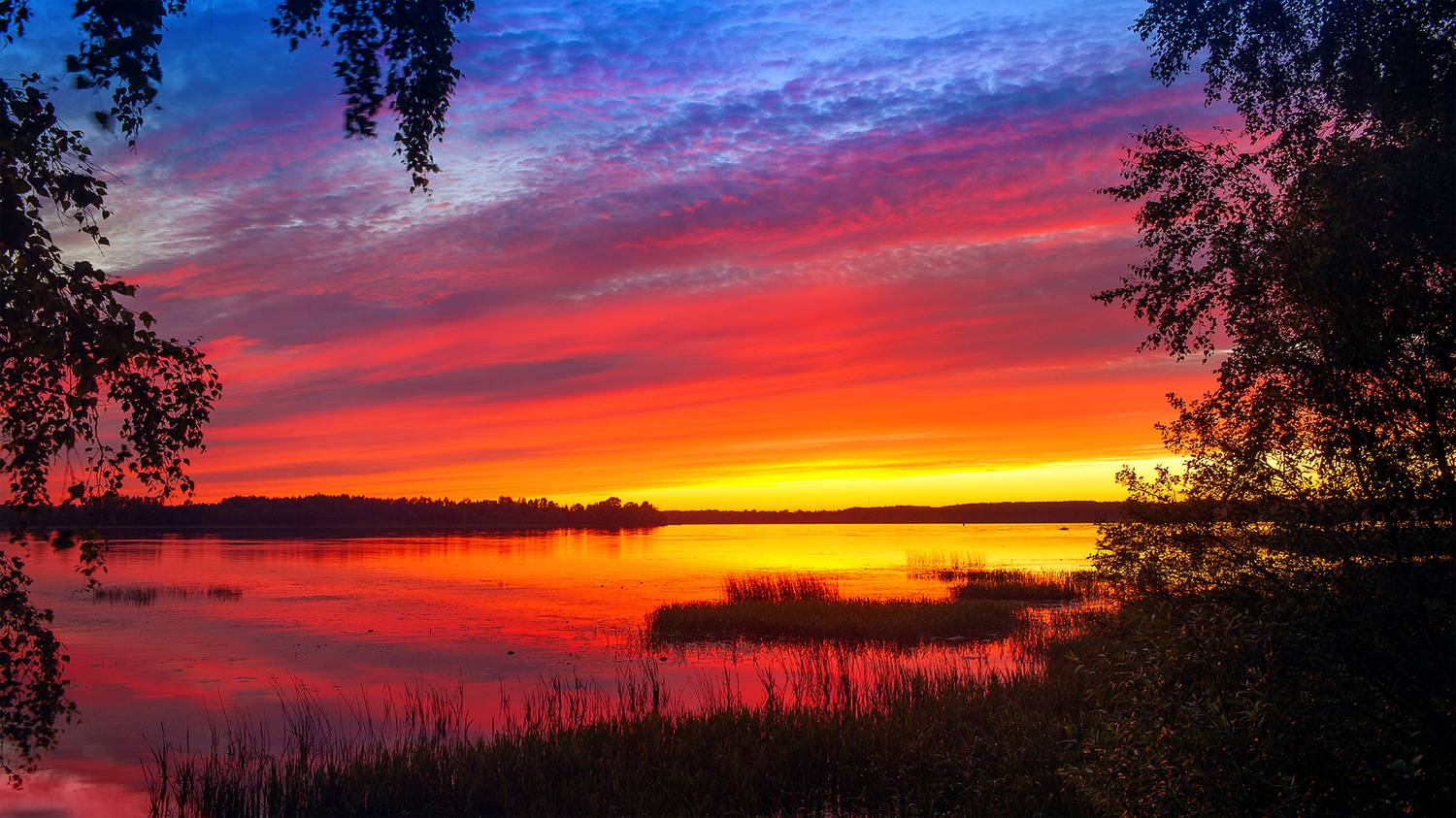 , Фотов Ренат