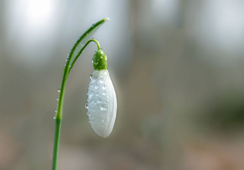 Минимализм. фото превью
