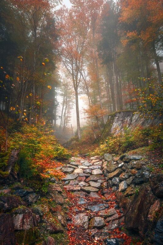 oсенняя река фото превью