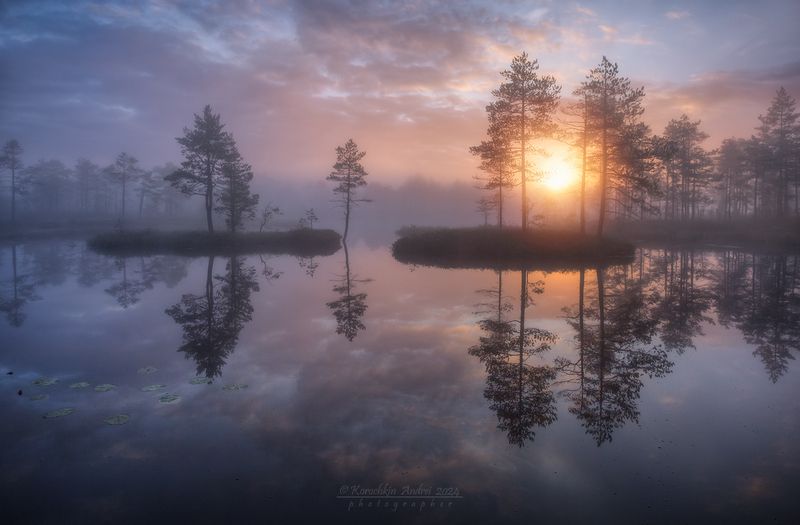 ... рассветный свет ... фото превью