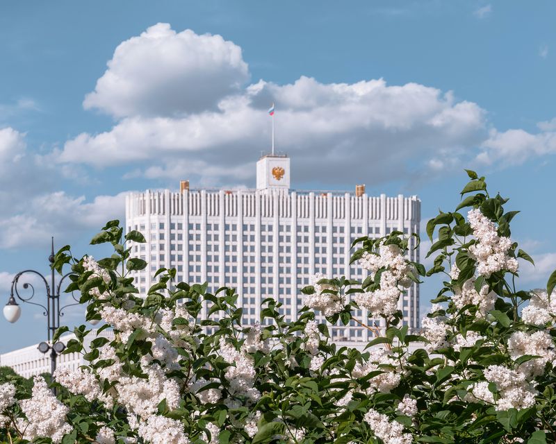весна, москва, сирень, дом правительства, moscow, spring  фото превью