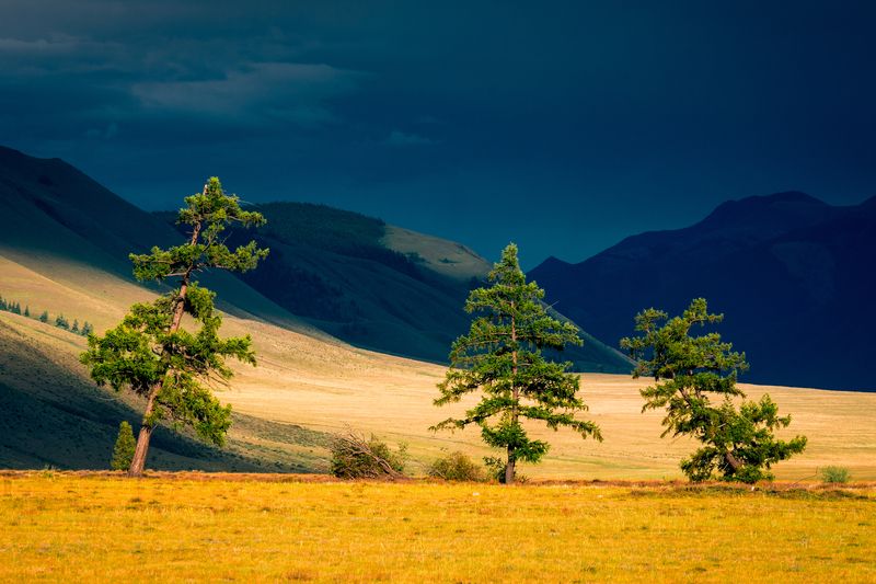 Алтай, закат, деревья, горы Три сестры фото превью