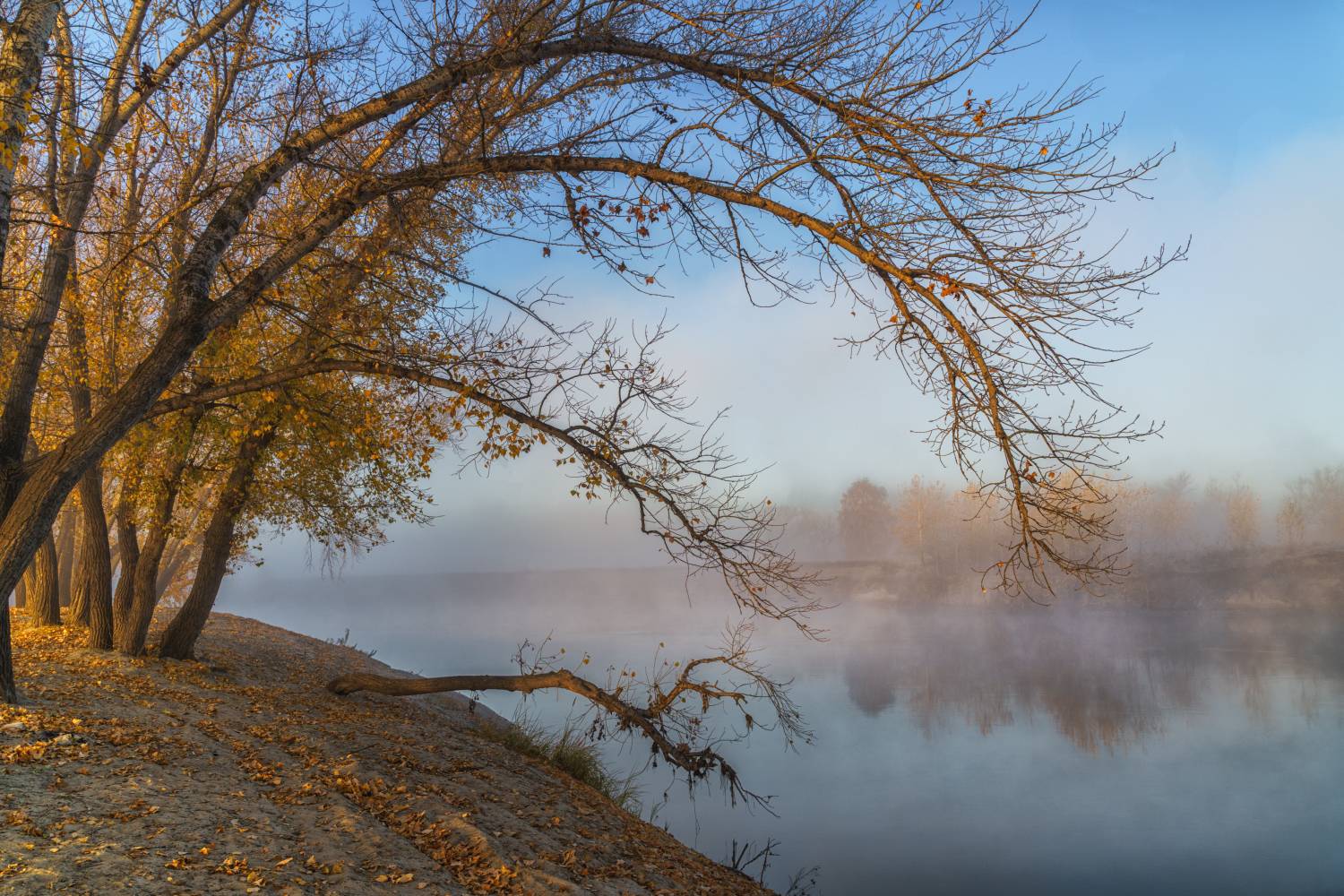Россия,пейзаж,туман, утро, Тобол, река, осень, Лариса Дука