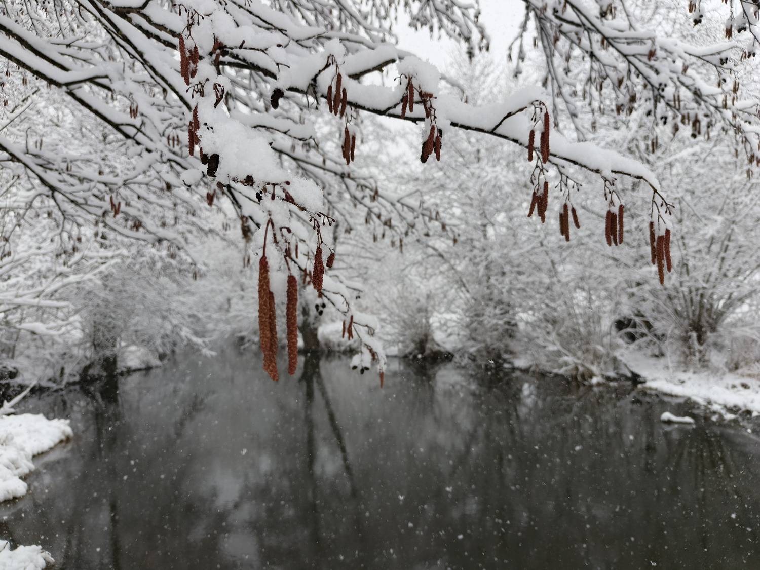 , Светлана Кондрашова