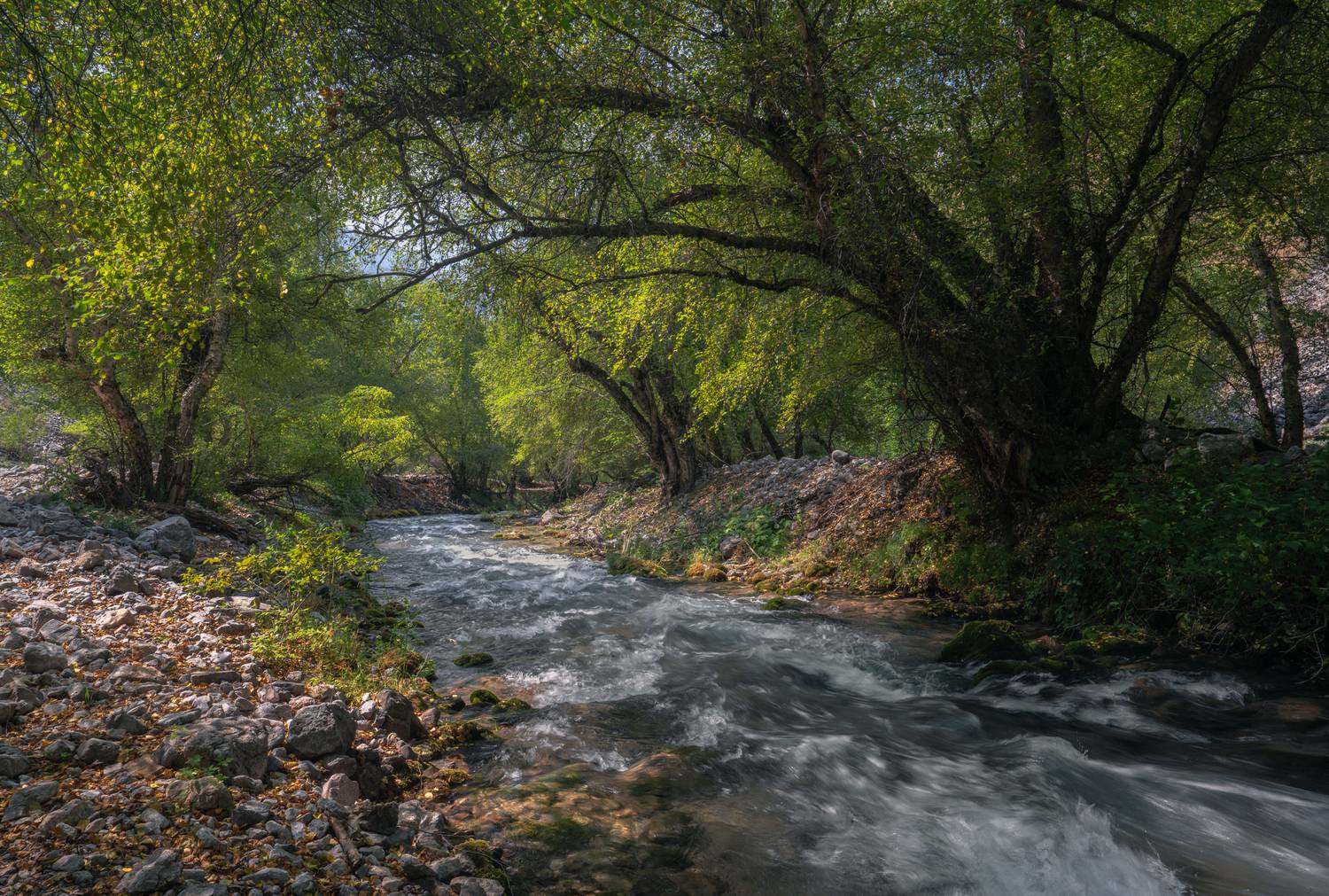 узбекистан. испай., Andrey