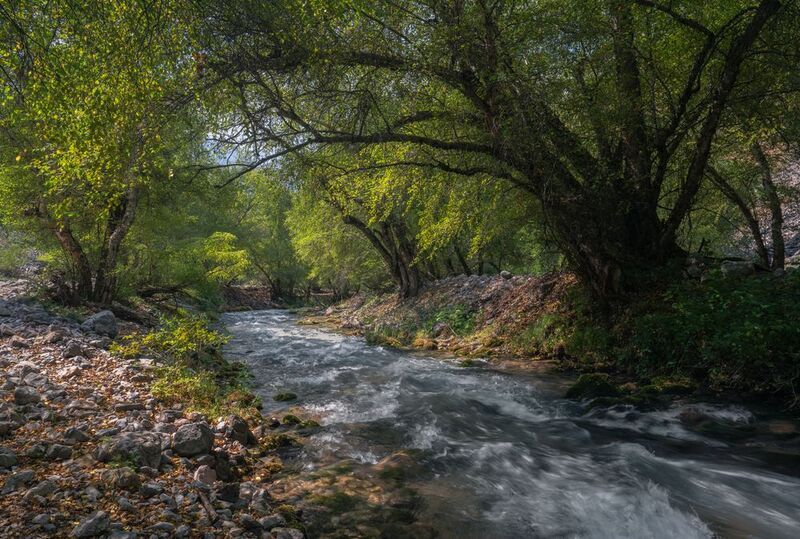 узбекистан. испай. У горной речки Испай- сай. фото превью