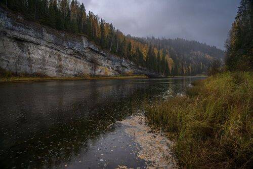 Осенний дождик