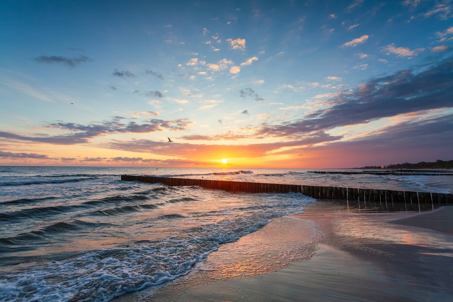 ,  Mirosław Pruchnicki