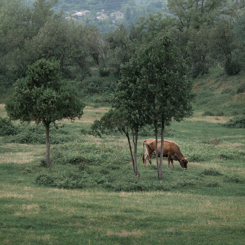 Кусочек тишины фото превью