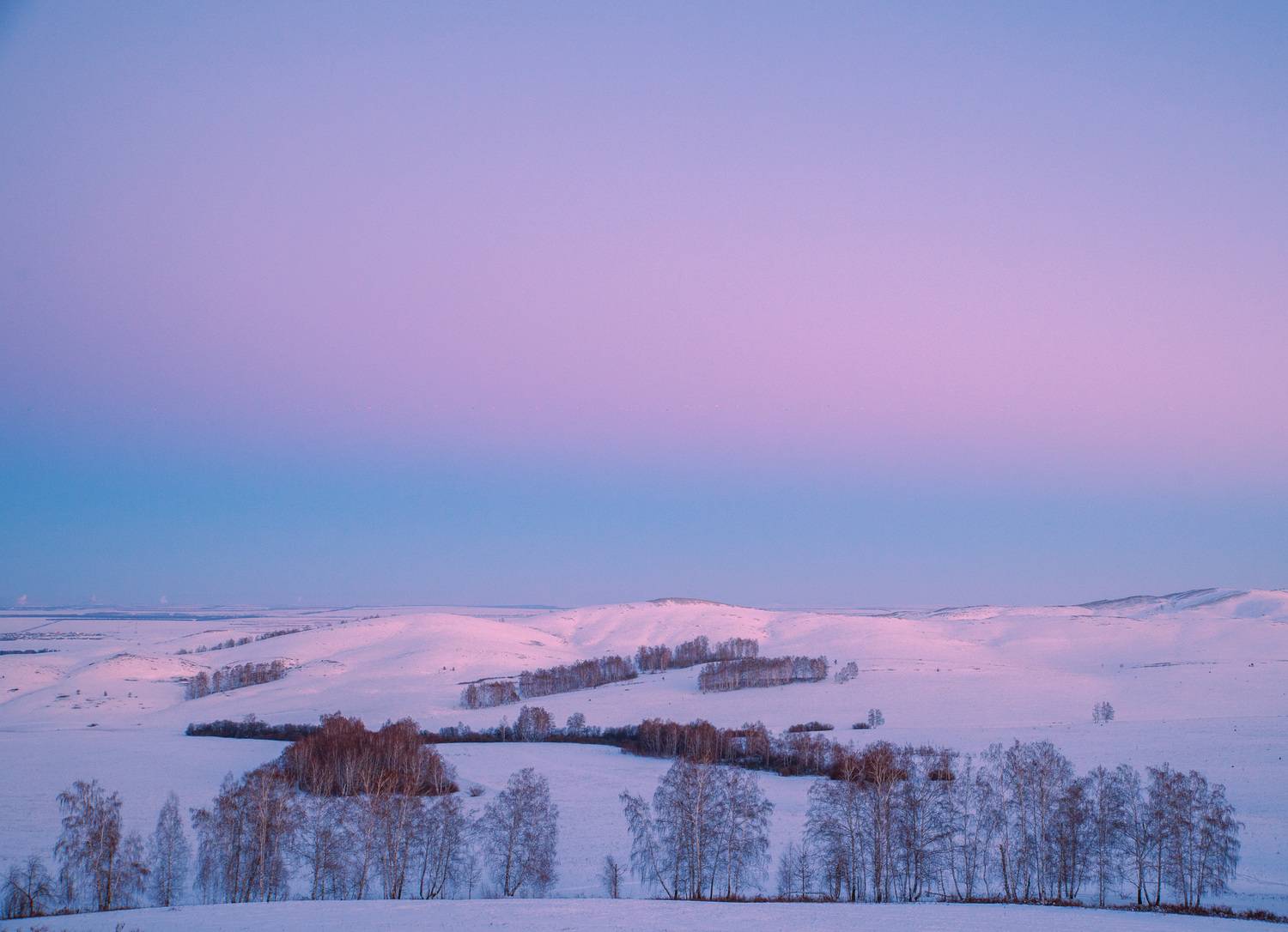 , Шустиков Дмитрий
