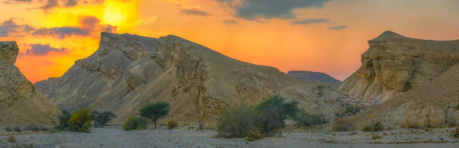 , Шварцман Евгений