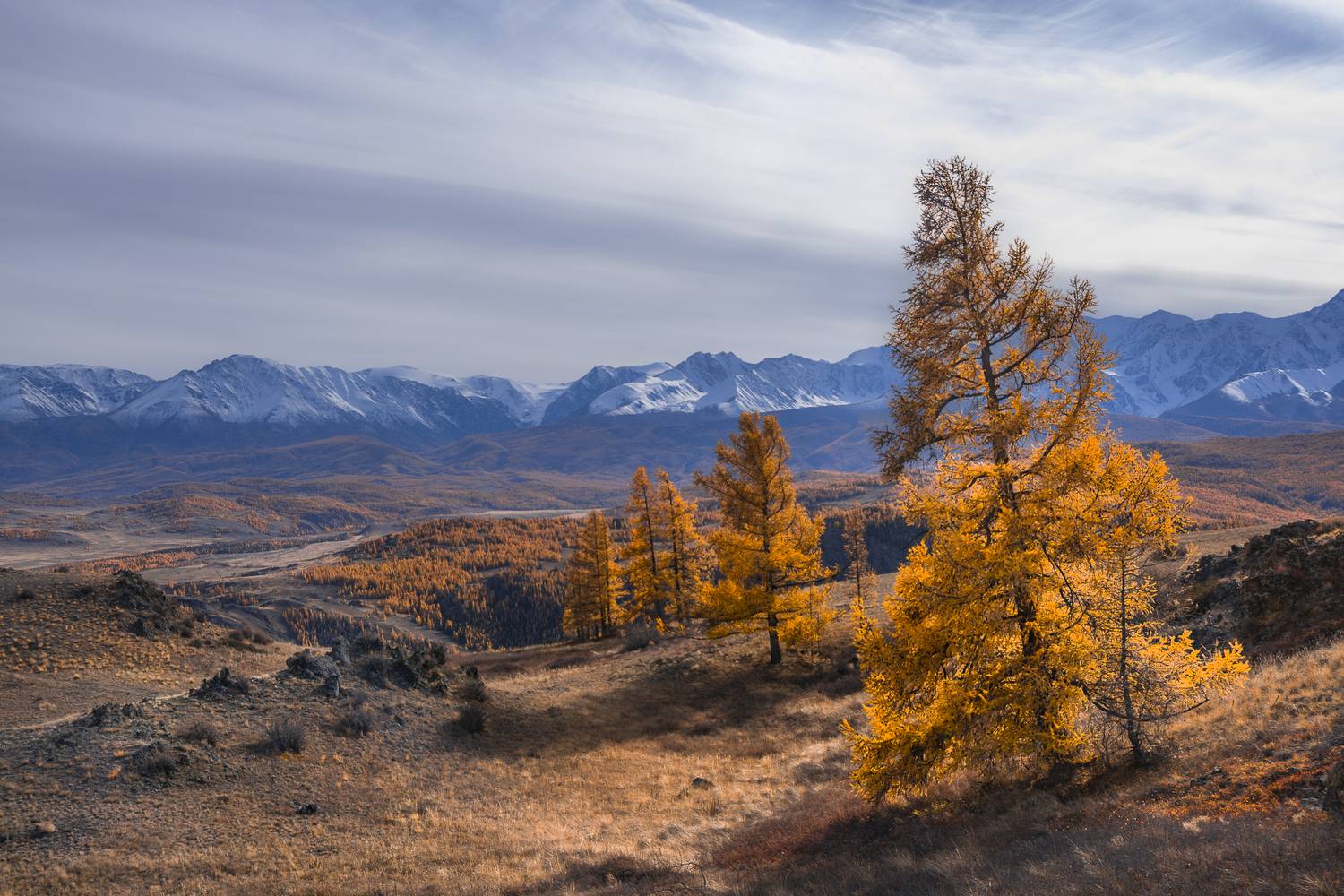 россия, горный алтай,осень, Поляков Андрей