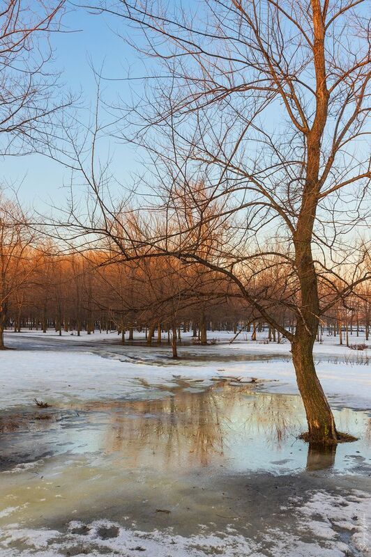 март весна оттепель Март фото превью