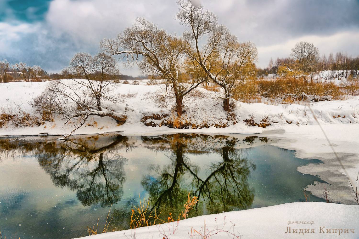 зима, оттепель, река, полынья, ивы, отражения, смоленская область, Лидия Киприч
