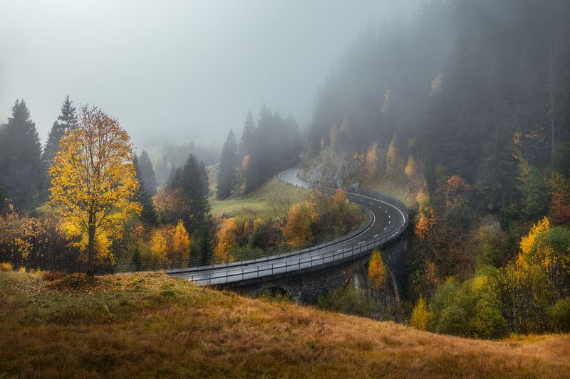 foggy,autumn. фото превью