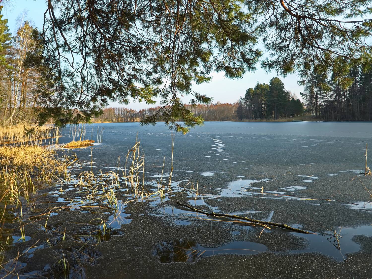 лес, озеро, весна, лёд, лётцы, беларусь, Виктор Гурков
