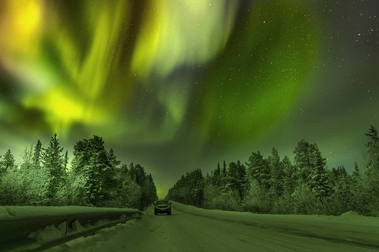 , Ермохина Наталья