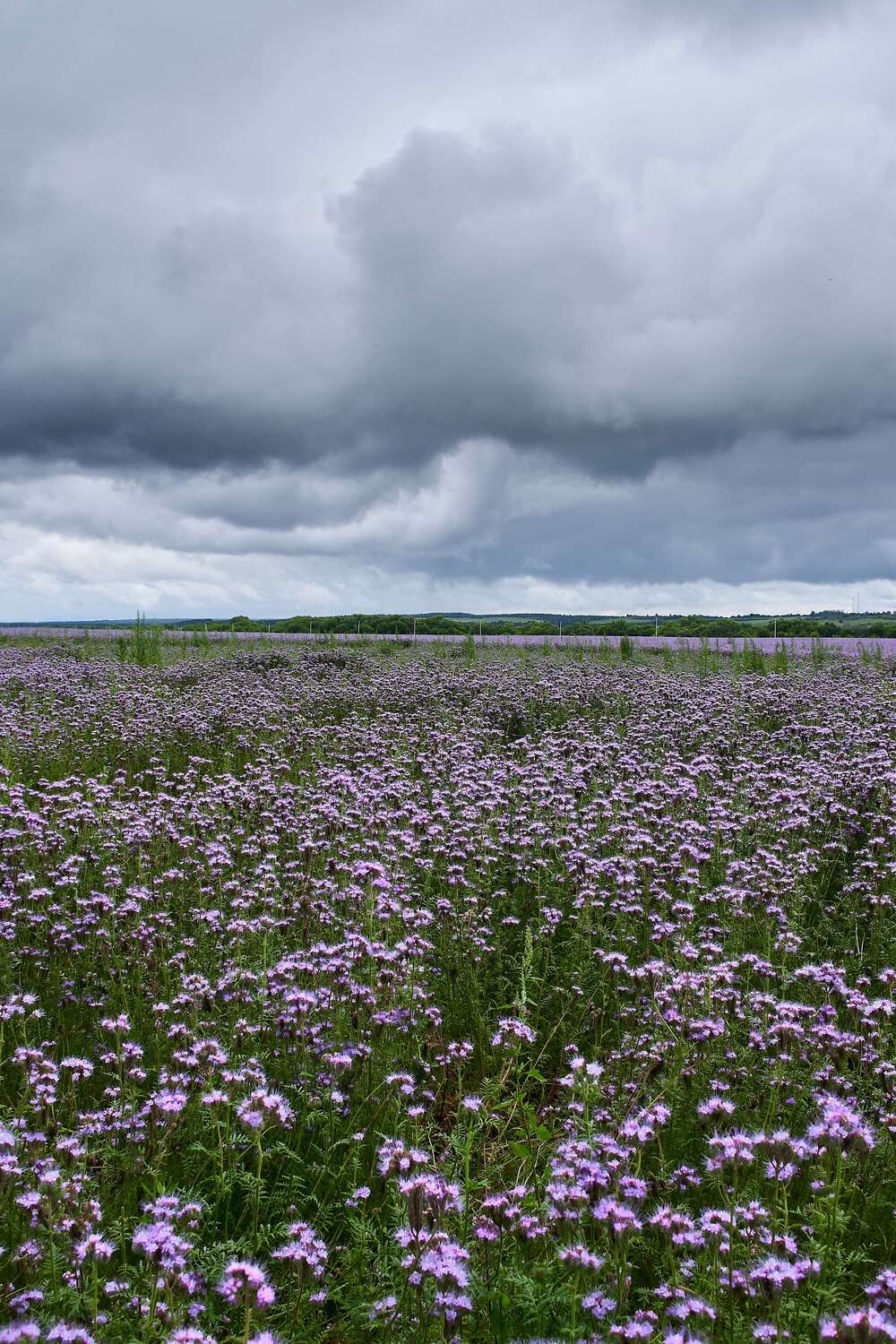 volgograd, russia, landscapes, , Павел Сторчилов