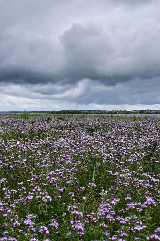volgograd, russia, landscapes,  # фото превью