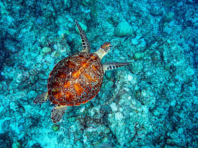 Полет фото превью