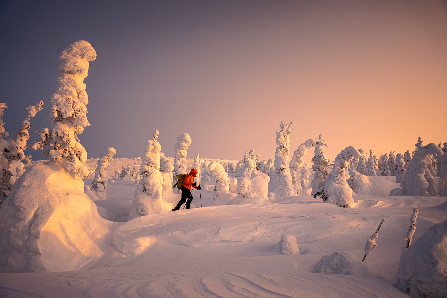 урал, гух, главный уральский хребет, северный урал, сосьвинский камень, казанский камень, Уфимцев Юрий