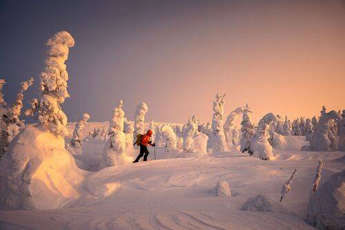 На встречу солнцу