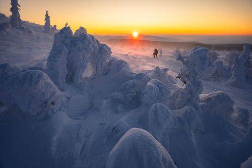 В снежной пучине