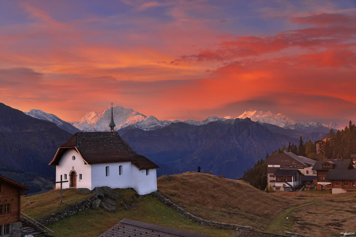 swiss, Матвеев Николай
