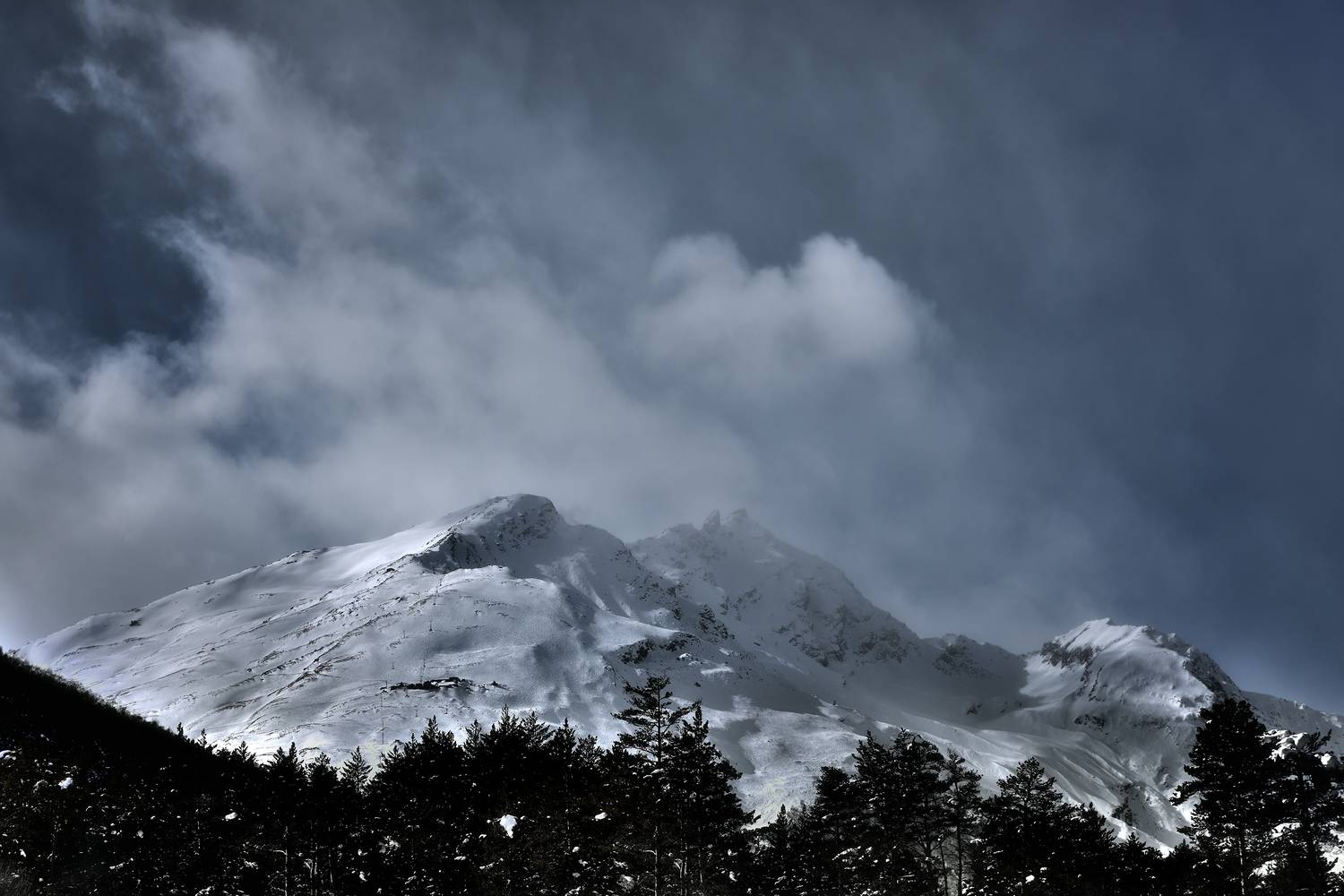 , Алексей Никонов